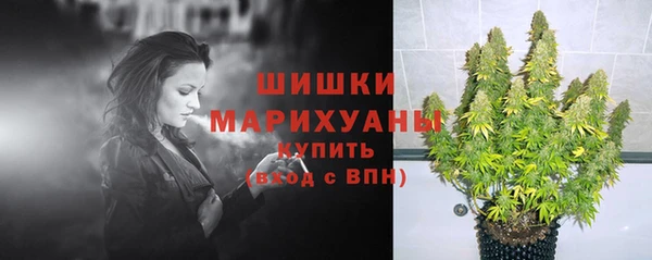 mdpv Богданович