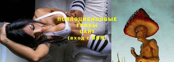 mix Богородск
