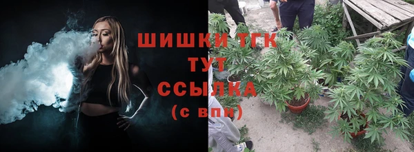 mdpv Богданович