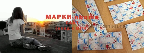 сатива Богородицк