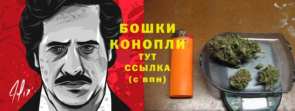 mdpv Богданович